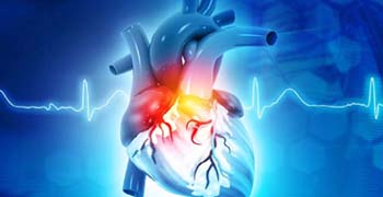 Medical Sciences