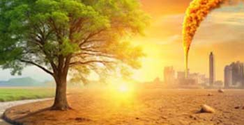 Environmental Sciences