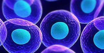 Biomedical & Molecular Sciences