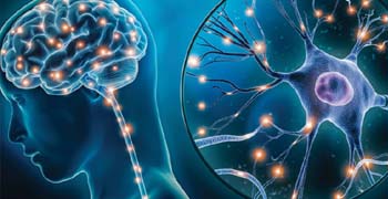 Neurology