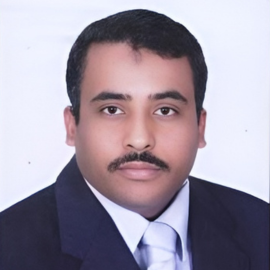 Prof Dr Elsayed Elsayed Hafez